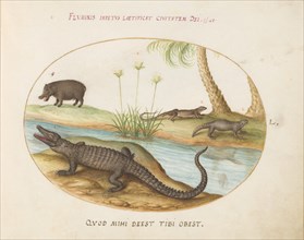 Animalia Qvadrvpedia et Reptilia (Terra): Plate L, c. 1575/1580.