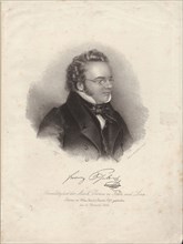 Portrait of Franz Schubert (1797-1828), 1829. Private Collection.