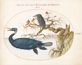 Animalia Volatilia et Amphibia (Aier): Plate XXIII, c. 1575/1580.