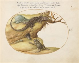 Animalia Qvadrvpedia et Reptilia (Terra): Plate LI, c. 1575/1580.