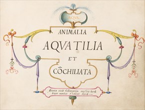 Animalia Aqvatilia et Cochiliata (Aqva): Title Page, c. 1575/1580.