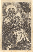 The "Beautiful Virgin" of Ratisbon in a Landscape, c. 1519/1520.