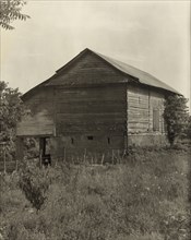 Unidentified cabin, Natchez vic., Adams County, Mississippi, 1938.