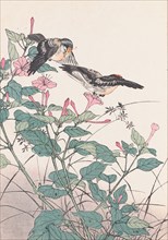 The Four Seasons Bird and Flower Albums (Keinen Kacho Gafu), 1891-1892. Private Collection.