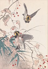 The Four Seasons Bird and Flower Albums (Keinen Kacho Gafu), 1891-1892. Private Collection.