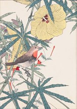 The Four Seasons Bird and Flower Albums (Keinen Kacho Gafu), 1891-1892. Private Collection.