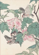 The Four Seasons Bird and Flower Albums (Keinen Kacho Gafu), 1891-1892. Private Collection.