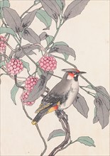 The Four Seasons Bird and Flower Albums (Keinen Kacho Gafu), 1891-1892. Private Collection.