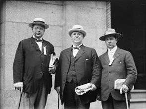 Democratic National Convention - Col. P. Denton, Col. John I. Martin, Jay Cairns, 1912. [US politicians].