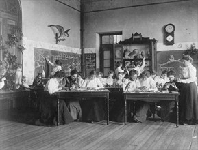 Young women in Washington, D.C. Normal School classroom studying birds, (1899?).