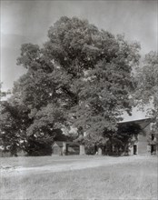 Midlothian Pike Minor Houses, Midlothian Pike, Chesterfield County, Virginia, 1933.