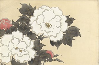 Peonies (Fukamigusa). From the series "A World of Things (Momoyogusa)", 1909-1910. Private Collection.
