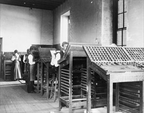 Compositors working in printing shop, Hampton Institute, Hampton, Virginia, 1899 or1900.