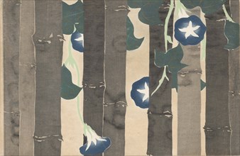 Asagao (Morning Glories). From the series "A World of Things (Momoyogusa)", 1909-1910. Private Collection.