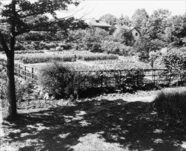 Chelmsford, Elon Huntington Hooker house, Greenwich, Connecticut. Vegetable garden, c1914.