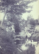 Rural scene with a young boy sitting on a tree stump watching ducks in the stream below, c1900.