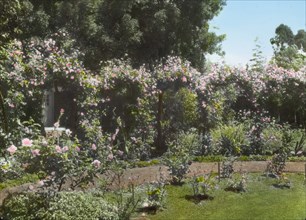 Senuelo, Edward Ditmars Wetmore house, Fairway Road, Montecito, California, 1917. Creator: Frances Benjamin Johnston.