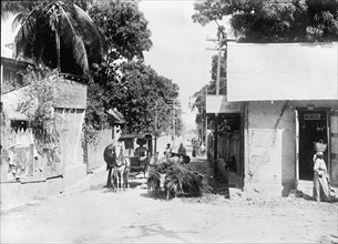 Haiti. Scene, Port Au Prince, 1911. Creator: Harris & Ewing.