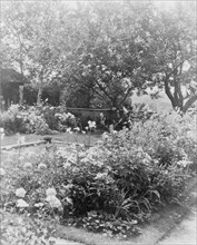 Flower garden, at the home of Mrs. Francis B. Harrington, Ipswich, Massachusetts, between 1920 and 1940.