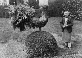 Gardener standing alongside shrub trimmed into shape of a rooster, in garden at Villa Trianon, France, 1925.