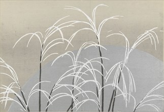 Obana ni tsuki (Pampas grasses and the moon). From the series "A World of Things (Momoyogusa)", 1909-1910. Private Collection.