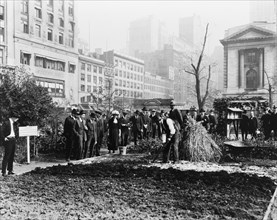 City experiment in gardening, New York City, c1922. Creator: Frances Benjamin Johnston.
