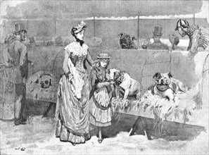 'Among the Bulldogs at the Kennel Club Show', 1886.  Creator: Unknown.