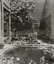 My patio court, March 21 to May, 1946. Creator: Frances Benjamin Johnston.