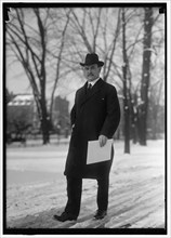 Houston, David Franklin, Secretary Of Agriculture, between 1914 and 1918. Creator: Harris & Ewing.