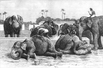 ''An Elephant Battery in India; The Morning Bath before Breakfast', 1890. Creator: Unknown.