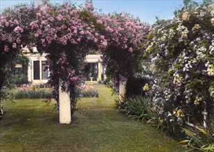 Westlawn, Edward Tiffany Dyer house, Great Plains Road, Southampton, New York, 1914. Creator: Frances Benjamin Johnston.