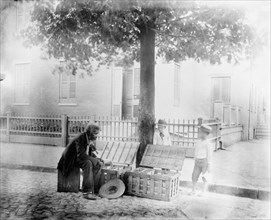 Old African-American man selling strawberries on street, Washington, D.C. - two small..., c1900. Creator: Frances Benjamin Johnston.