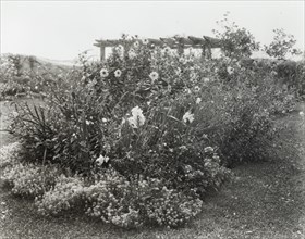 Gray Gardens, Robert Carmer Hill house, Lily Pond Lane, East Hampton, New York, 1914. Creator: Frances Benjamin Johnston.