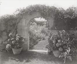 Gray Gardens, Robert Carmer Hill house, Lily Pond Lane, East Hampton, New York, c1914. Creator: Frances Benjamin Johnston.