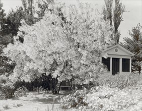 Belvoir, Fairfax Harrison house, Star Route 709, The Plains, Fauquier County, Virginia, 1928. Creator: Frances Benjamin Johnston.