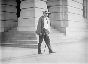 Democratic National Convention - Sen. Tillman of S.C., 1912. Creator: Harris & Ewing.