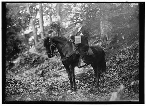 Man on horse in woods, between 1914 and 1917. Creator: Harris & Ewing.