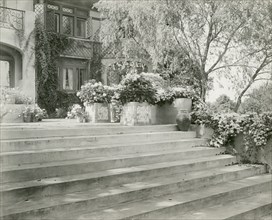 Mrs. Albert Herter, East Hampton, blue & white garden, 1913. Creators: Frances Benjamin Johnston, Johnston-Hewitt Studio.