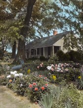 Reveille, Elmer Mulford Crutchfield house, 4200 Cary Street, Richmond, Virginia, 1929. Creator: Frances Benjamin Johnston.
