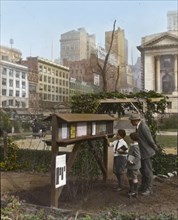 Demonstration garden, Bryant Park, 42nd Street and Fifth Avenue, New York, New York., 1918. Creator: Frances Benjamin Johnston.