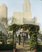 Demonstration garden, Bryant Park, 42nd Street and Fifth Avenue, New York, New York, 1918. Creator: Frances Benjamin Johnston.