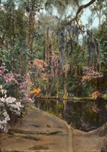Magnolia Plantation, 3550 Ashley River Road, Charleston, South Carolina, 1928. Creator: Frances Benjamin Johnston.