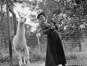 Mrs. Franklin Adams, nee Harriet Chalmers, at Zoo with Llama, 1912. Creator: Harris & Ewing.