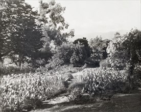 Glen Oaks, James Hobart Moore house, East Valley Road, Montecito, California, 1917. Creator: Frances Benjamin Johnston.