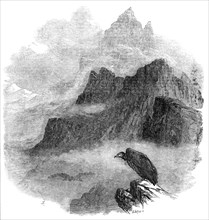 Summit of the Pic du Midi d'Osseau, Pyrenees, 1854. Creator: Mason Jackson.