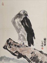 Eagle, 1985.