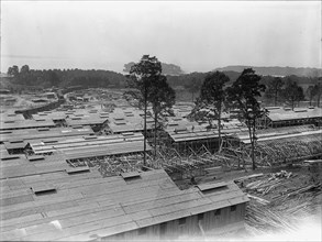 Camp, 1917 or 1918.