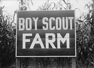 Boy Scouts, Boy Scout Farm, 1917.