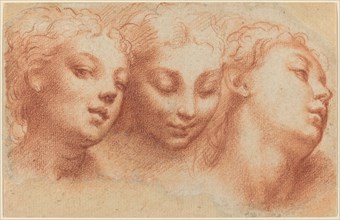 Three Feminine Heads, c. 1522/1524.