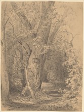 Tree and Foliage, probably c. 1873.